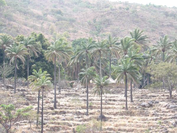 4. Jos Plateau of Central Nigeria, Na'Ankwat Kwapnoe-Dakup.JPG