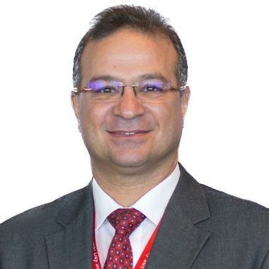 Professor Yasser  Elshayeb