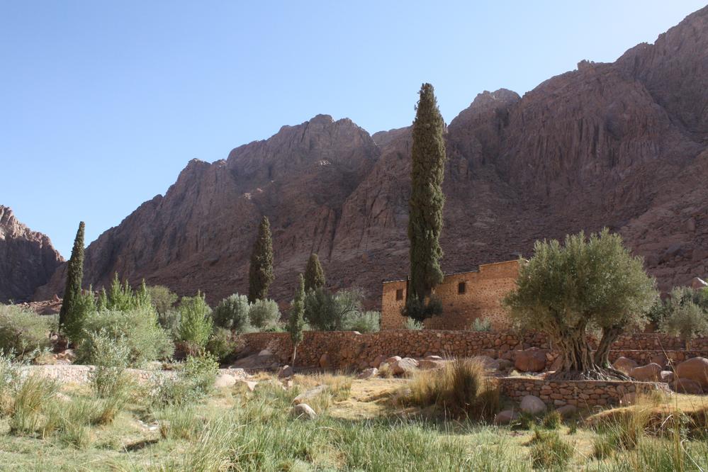 25 05 06 Shams_Adapting to scarcity or abundance?_Dier Raheb in Wadi el-Tala'a el-Shaghera (Monastery of Cosmos & Damian)