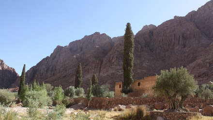 25 05 06 Shams_Adapting to scarcity or abundance?_Dier Raheb in Wadi el-Tala'a el-Shaghera (Monastery of Cosmos & Damian)