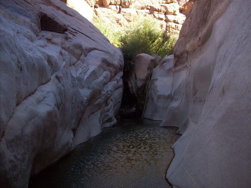 25 05 06_Shams_Adapting to Scarcity or Abundance?_el-Khraza in Wadi Tala'et Radwan